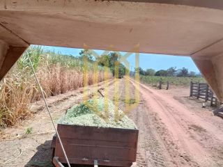 Sitio a venda 100% produtiva 8 hectares - Chapada dos Guimaraes MT