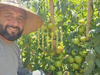 Sitio a venda 100% produtiva 8 hectares - Chapada dos Guimaraes MT
