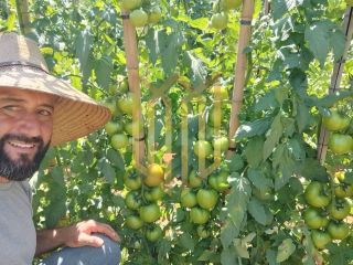 Sitio a venda 100% produtiva 8 hectares - Chapada dos Guimaraes MT