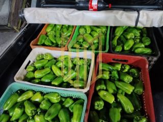 Sitio a venda 100% produtiva 8 hectares - Chapada dos Guimaraes MT