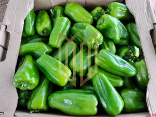 Sitio a venda 100% produtiva 8 hectares - Chapada dos Guimaraes MT