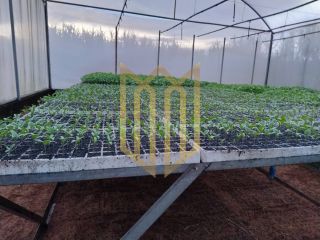 Sitio a venda 100% produtiva 8 hectares - Chapada dos Guimaraes MT