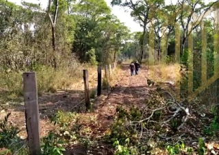 Fazenda 1093 ha Mimoso MT