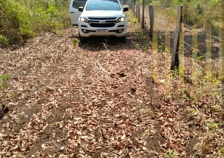 Fazenda 1093 ha Mimoso MT