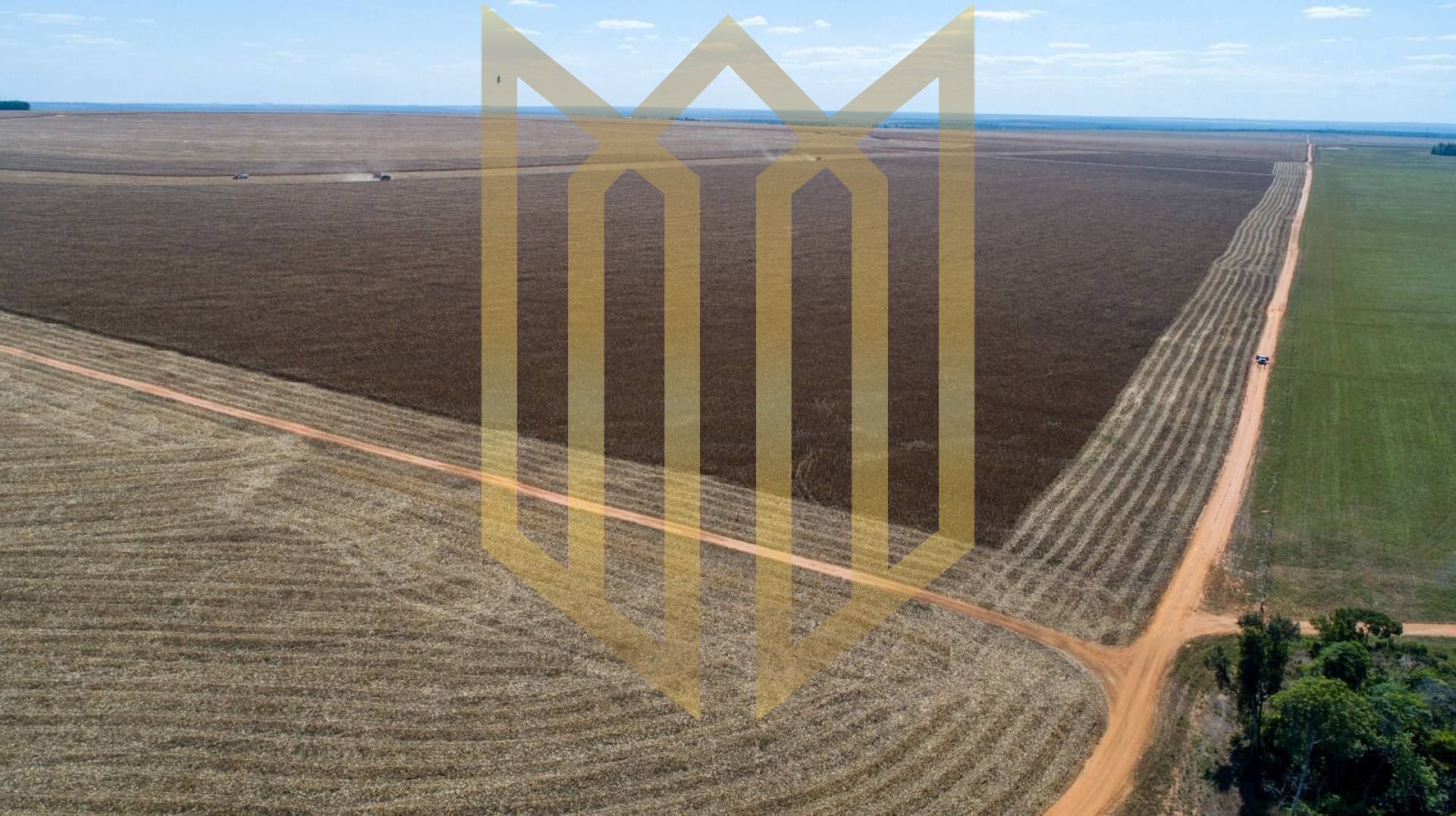 Fazenda a Venda em Campo Novo do Parecis MT