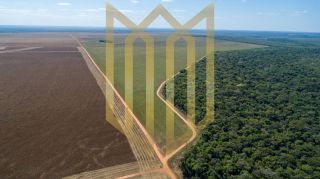 Fazenda a Venda em Campo Novo do Parecis MT