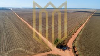 Fazenda a Venda em Campo Novo do Parecis MT