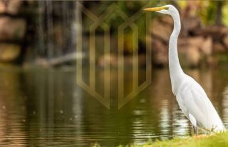 Oportunidade no Florais da Mata – Várzea Grande/MT
