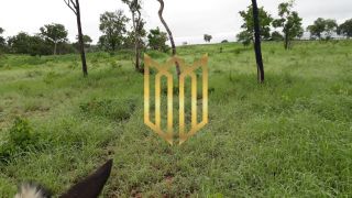 Fazenda Baixada Cuiabana 50km