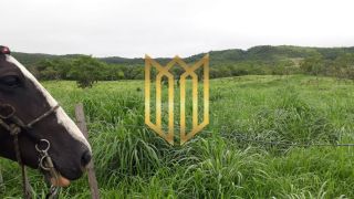 Fazenda Baixada Cuiabana 50km