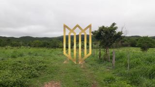 Fazenda Baixada Cuiabana 50km