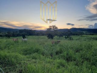 Fazenda Baixada Cuiabana 50km