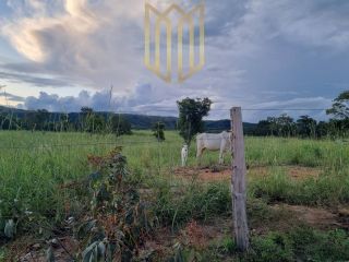 Fazenda Baixada Cuiabana 50km