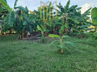 Fazenda Baixada Cuiabana 50km