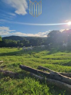 Fazenda Baixada Cuiabana 50km