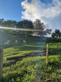 Fazenda Baixada Cuiabana 50km