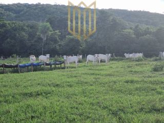 Fazenda Baixada Cuiabana 50km