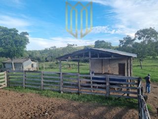 Fazenda Baixada Cuiabana 50km