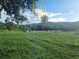Fazenda Baixada Cuiabana 50km