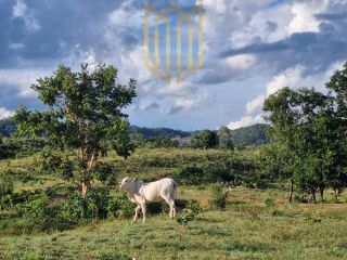 Fazenda Baixada Cuiabana 50km