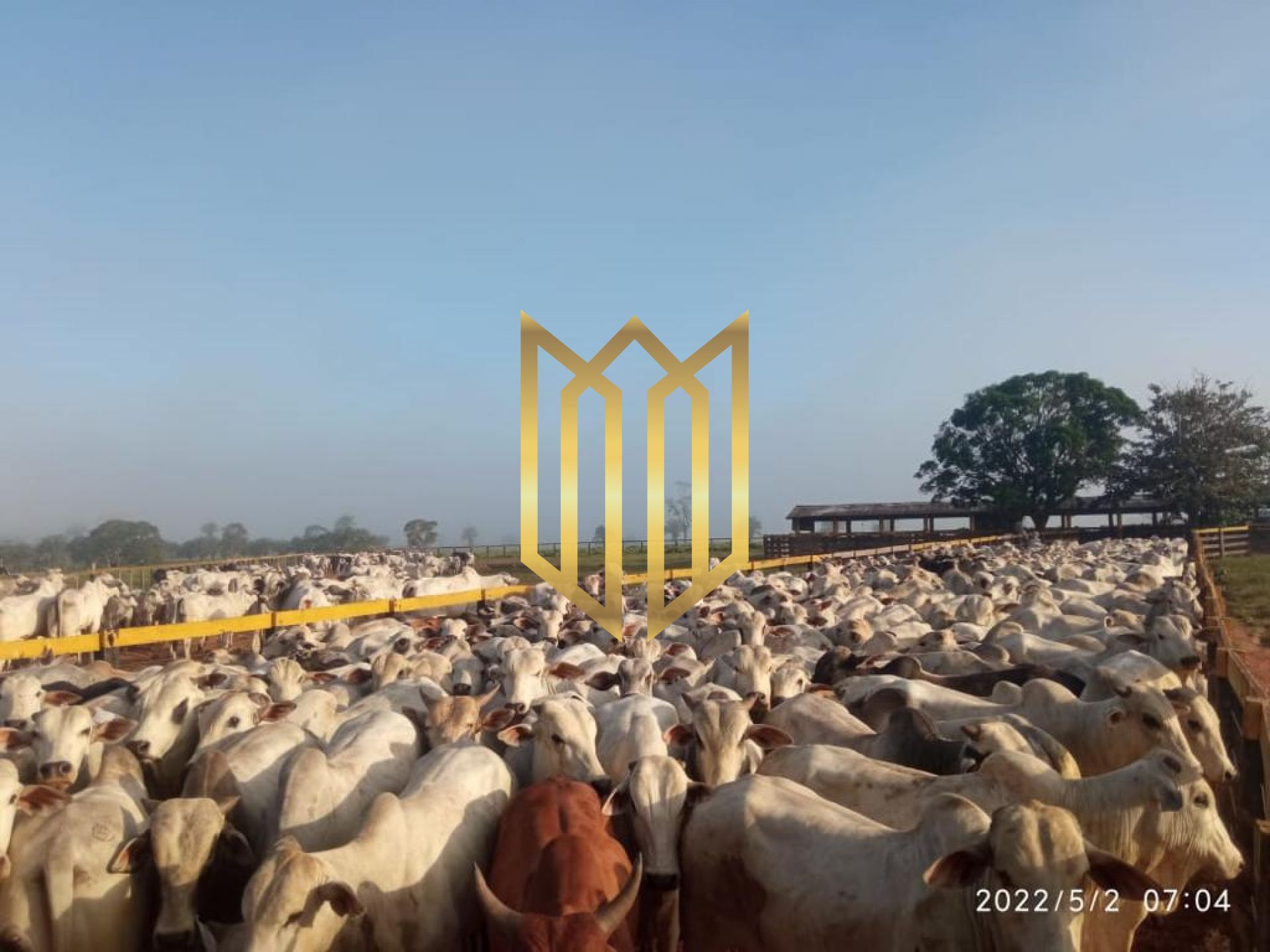 Fazenda em Juara - MT