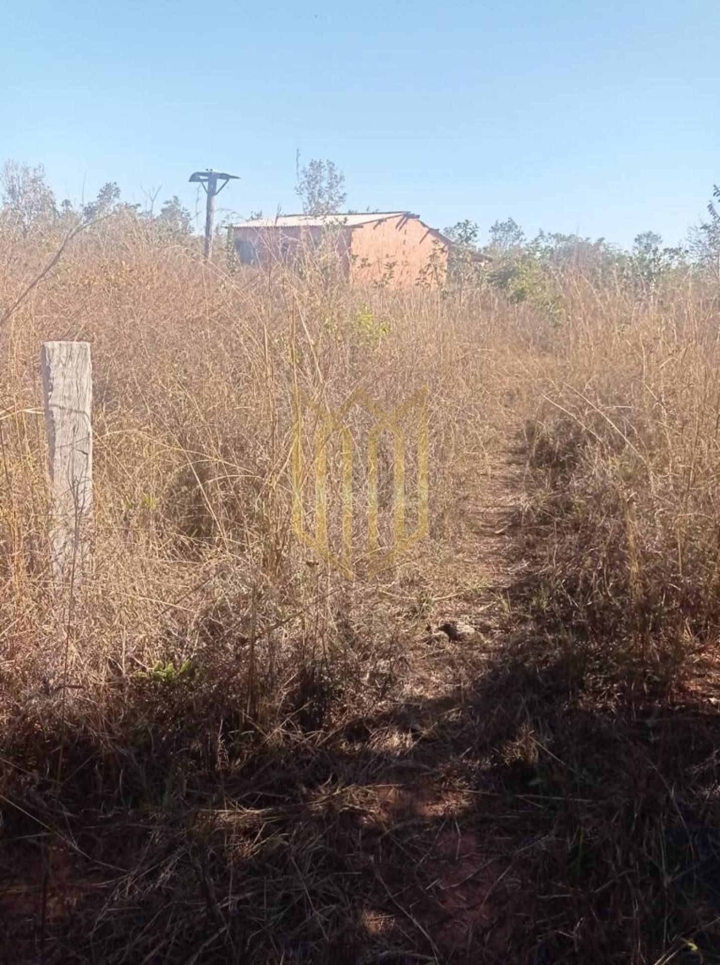 Fazenda Tesouro MT a venda