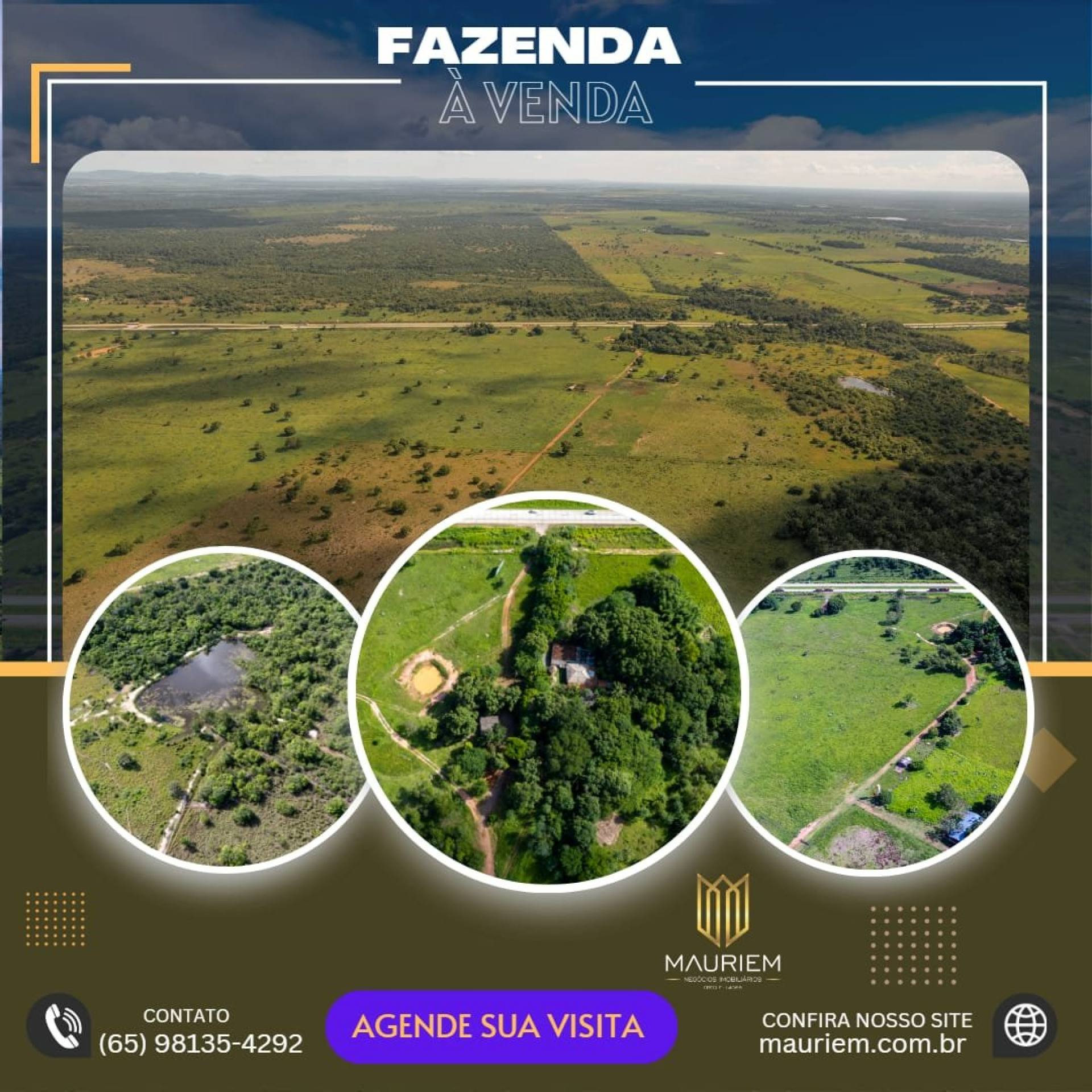 Fazenda - Baixada Cuiabana a venda