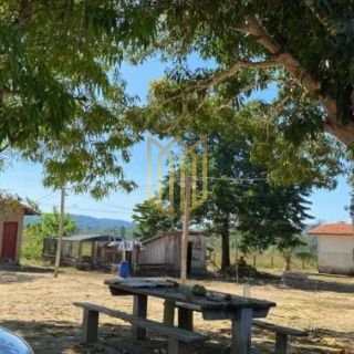 Fazenda a venda uma joia em Novo Progresso
