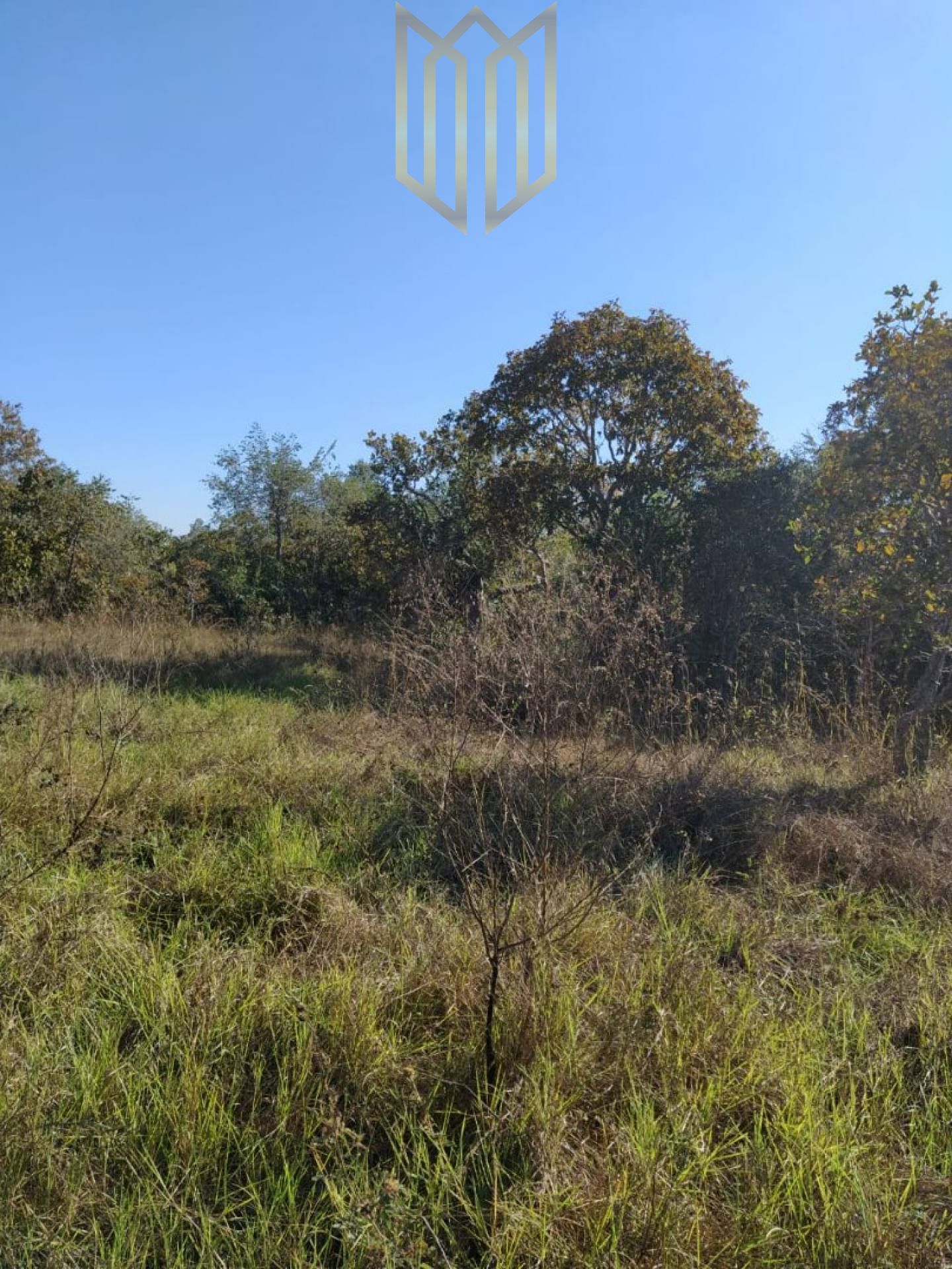 Fazenda na entrada do Jatobá para venda