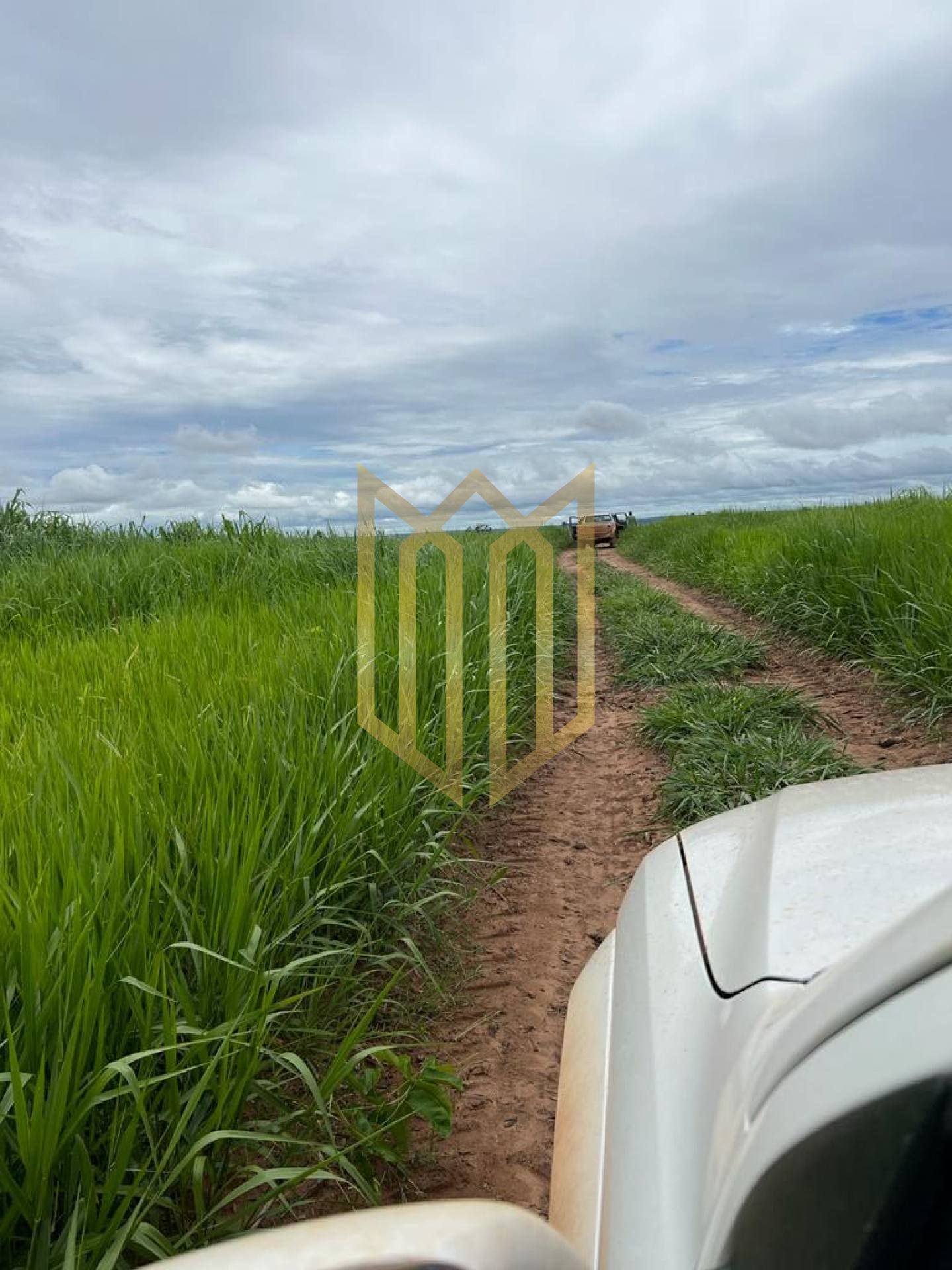Fazenda  Paranatinga MT para venda