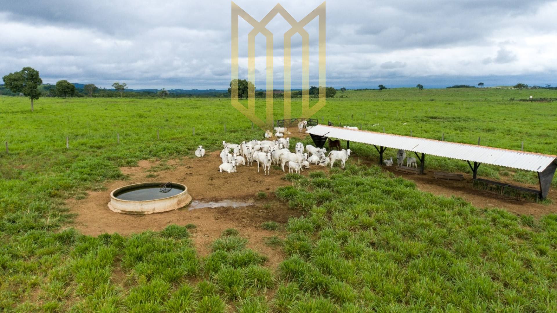 Fazenda para venda em Rosário Oeste Mt