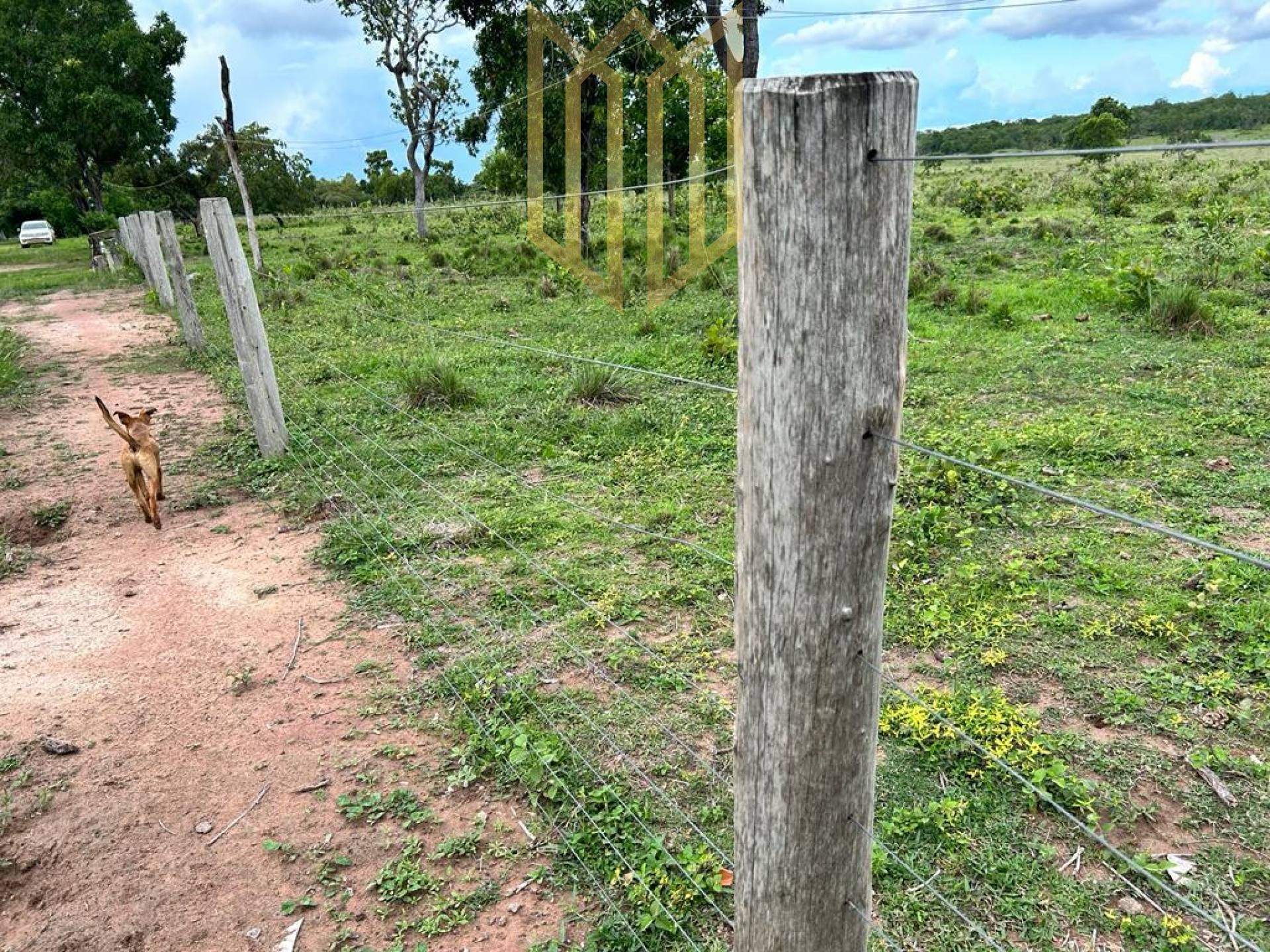 Vendo fazenda próxima a cidade de várzea Grande Mt