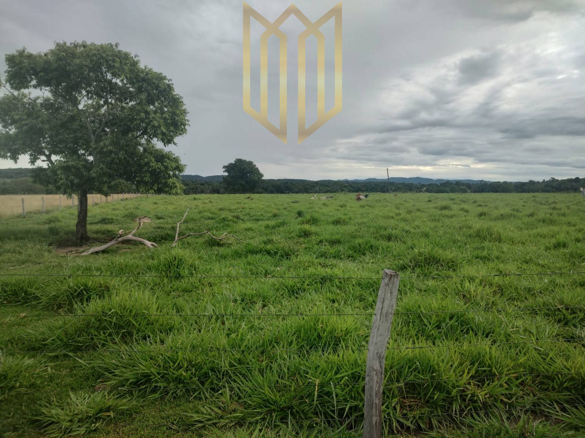 Fazenda próxima a cidade de Cuiabá para venda