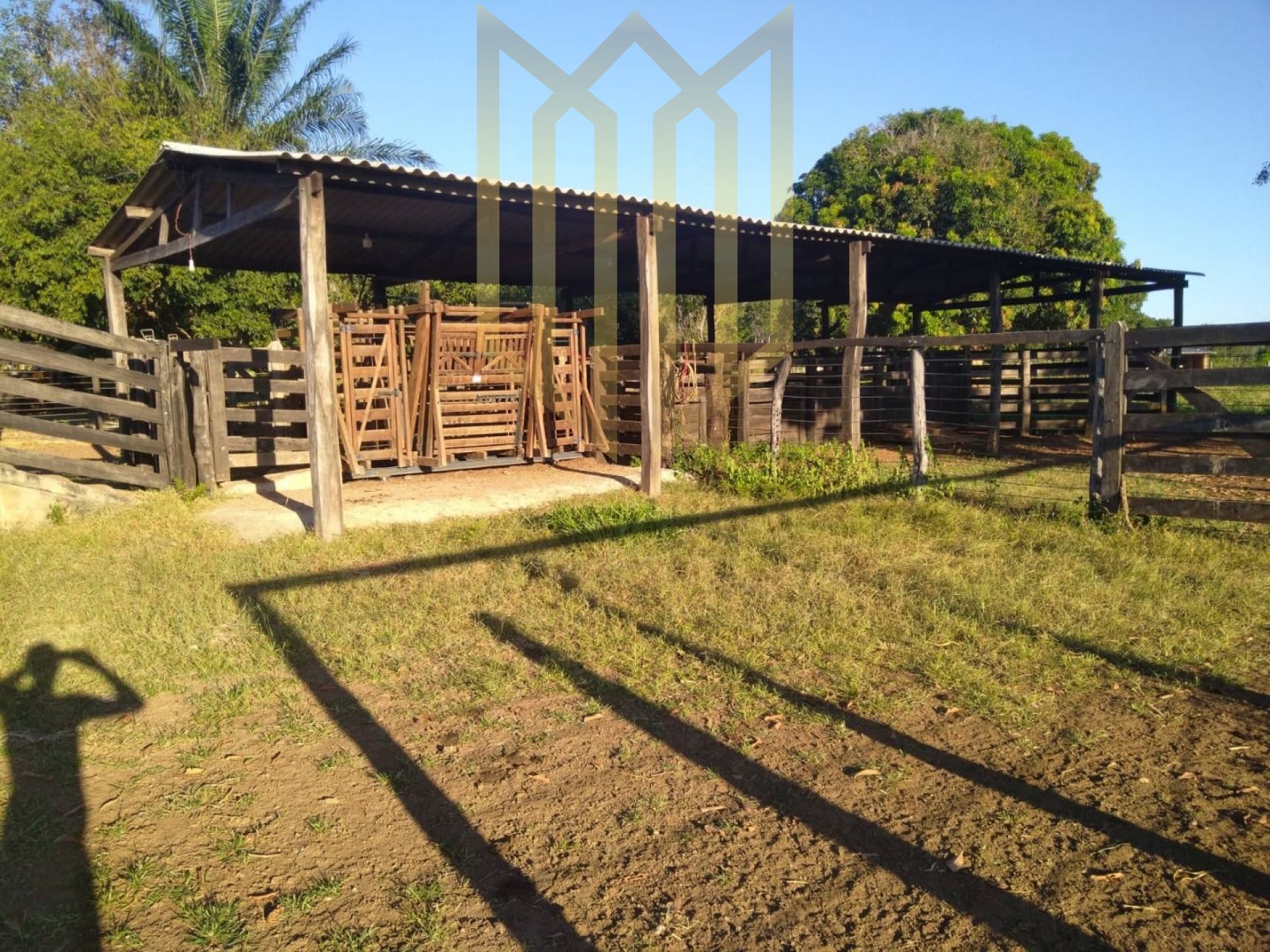 Fazenda à venda - Agro Vila - Santo Antônio Leveger