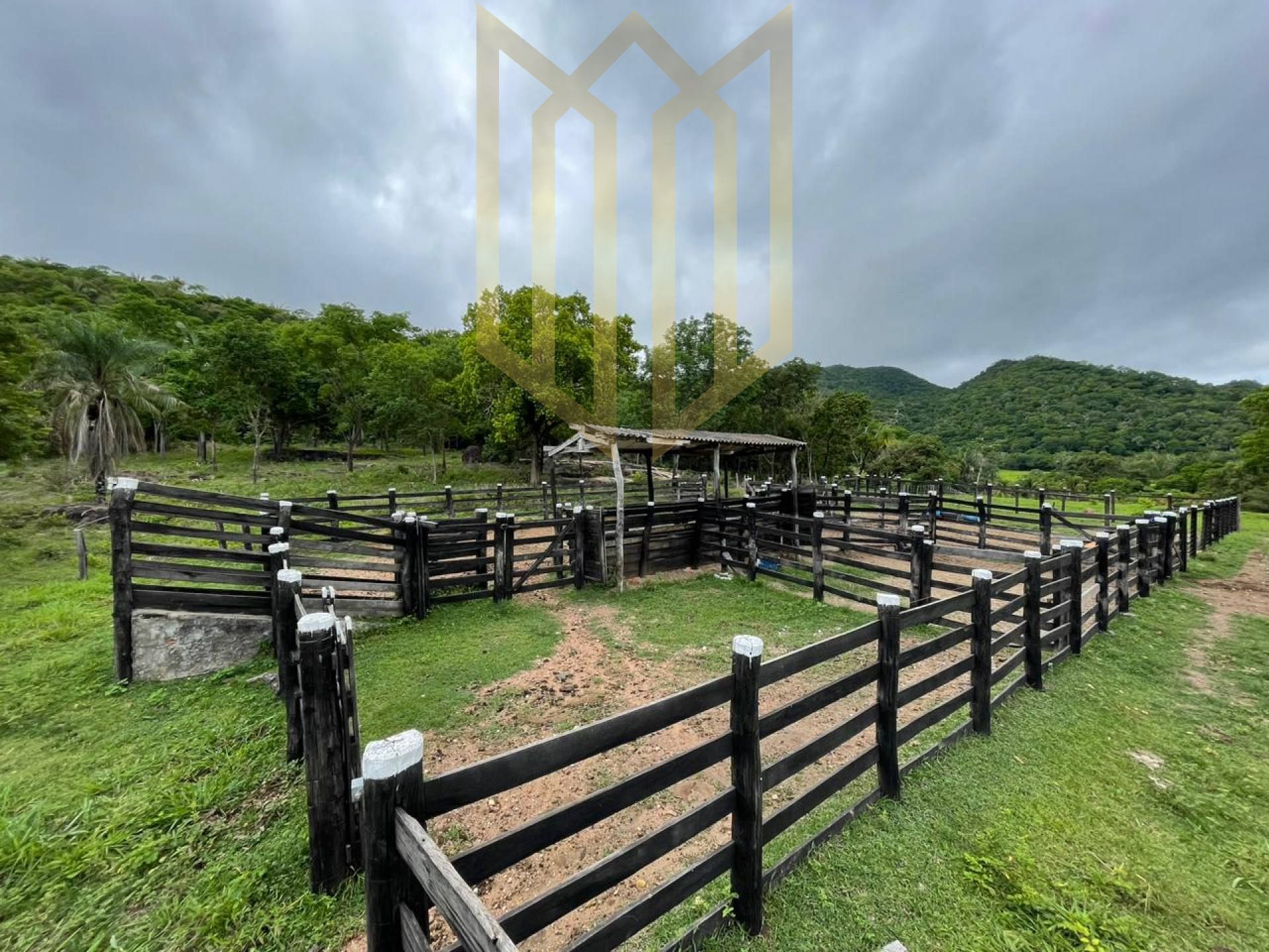 Fazenda 630 hectares à venda