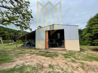 Fazenda 630 hectares à venda