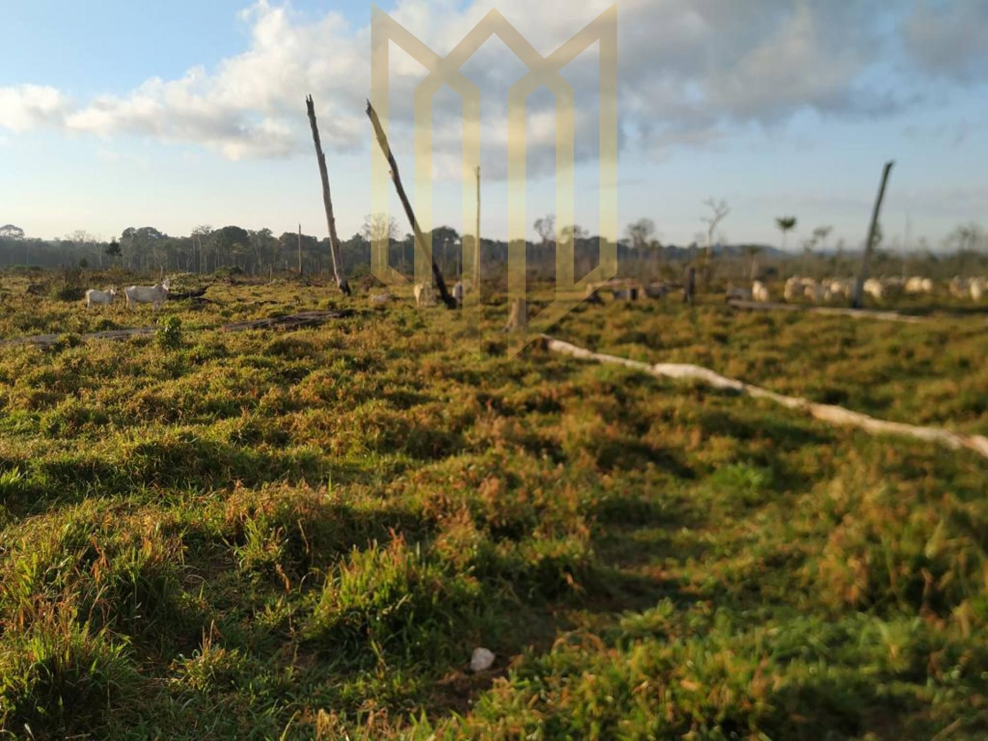 Fazenda com 1250 Alqueries à venda