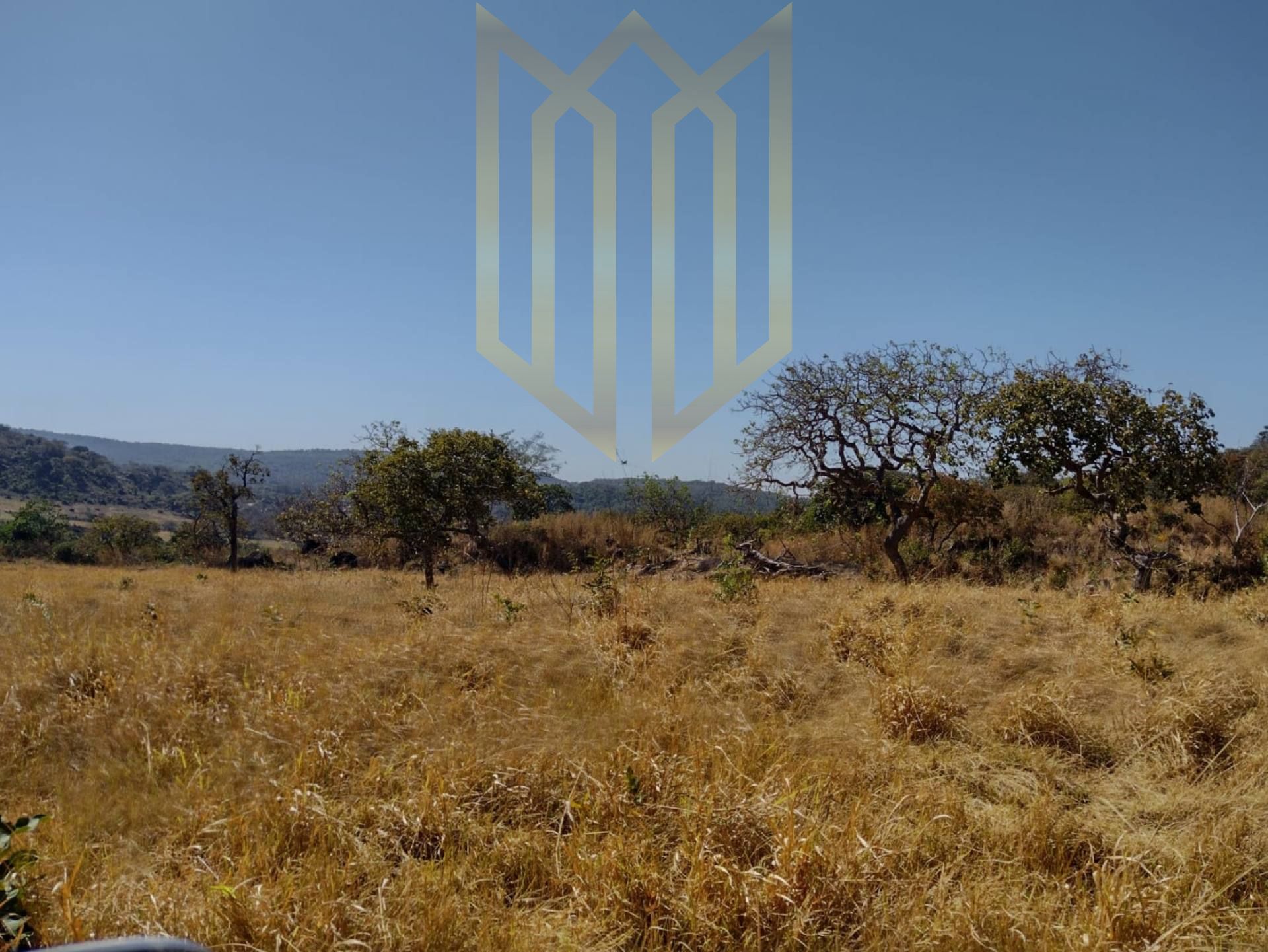 Fazenda 400 Hectares à Venda