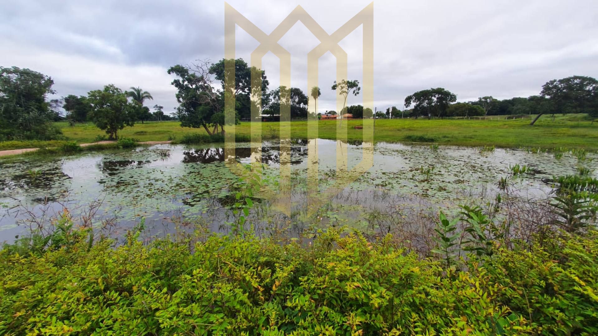 Fazenda - Baixada Cuiabana a venda