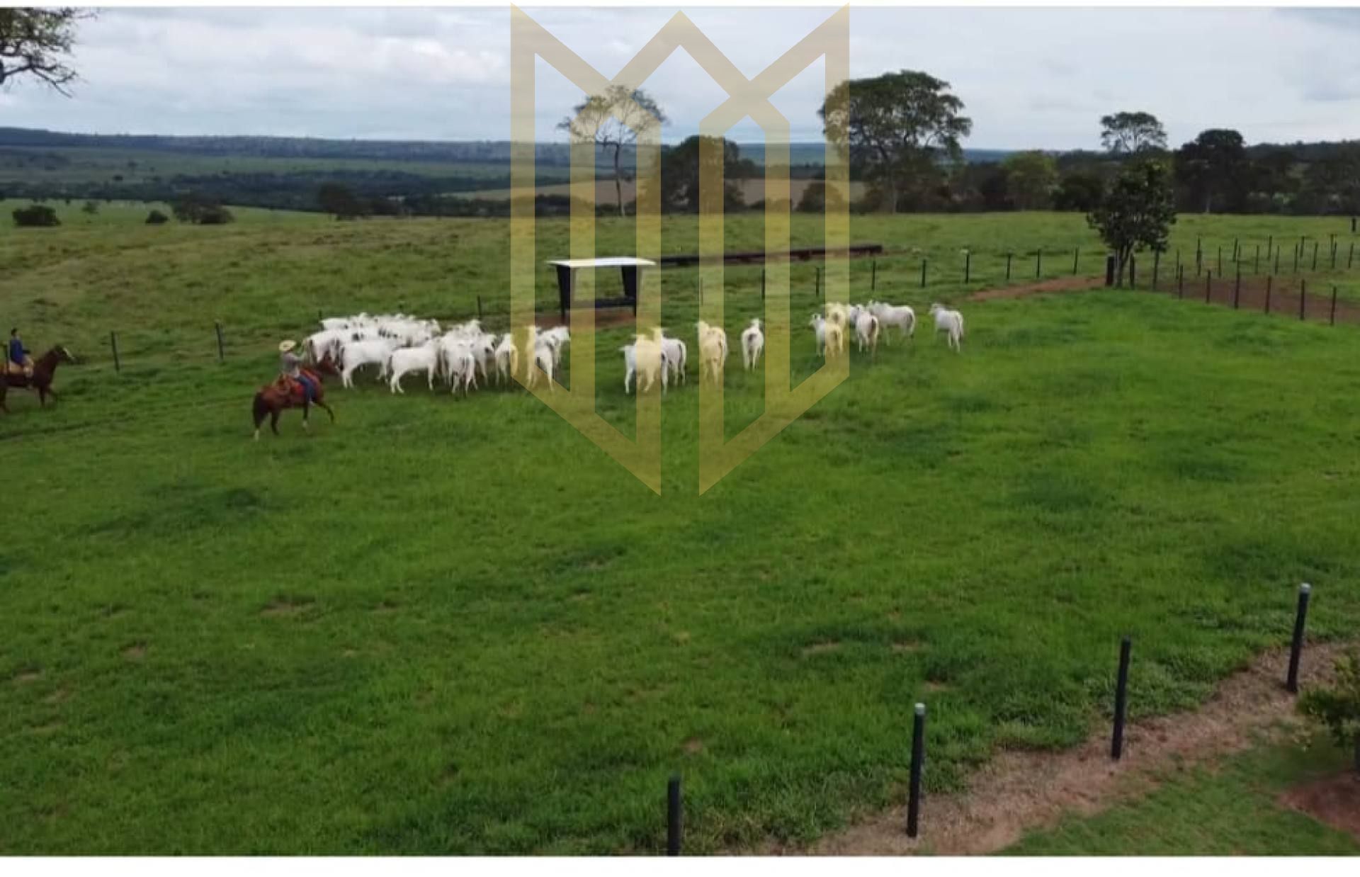 Fazenda VITRINE a 25km de Rondonópolis para venda