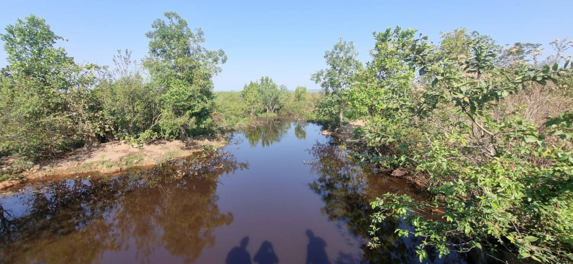 Fazenda Pantanal 8.000ha a venda!