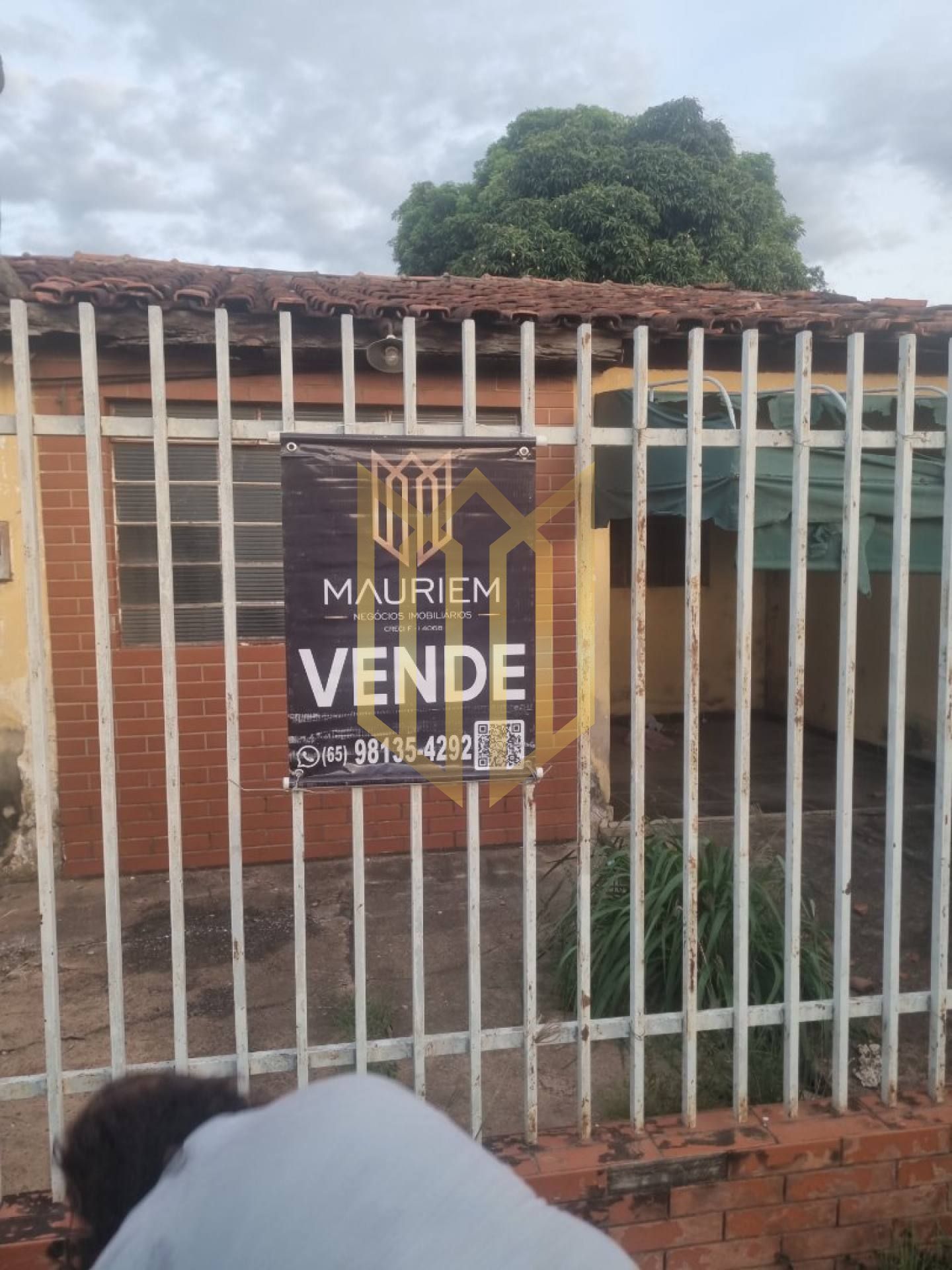 Terreno a venda Grande Terceiro