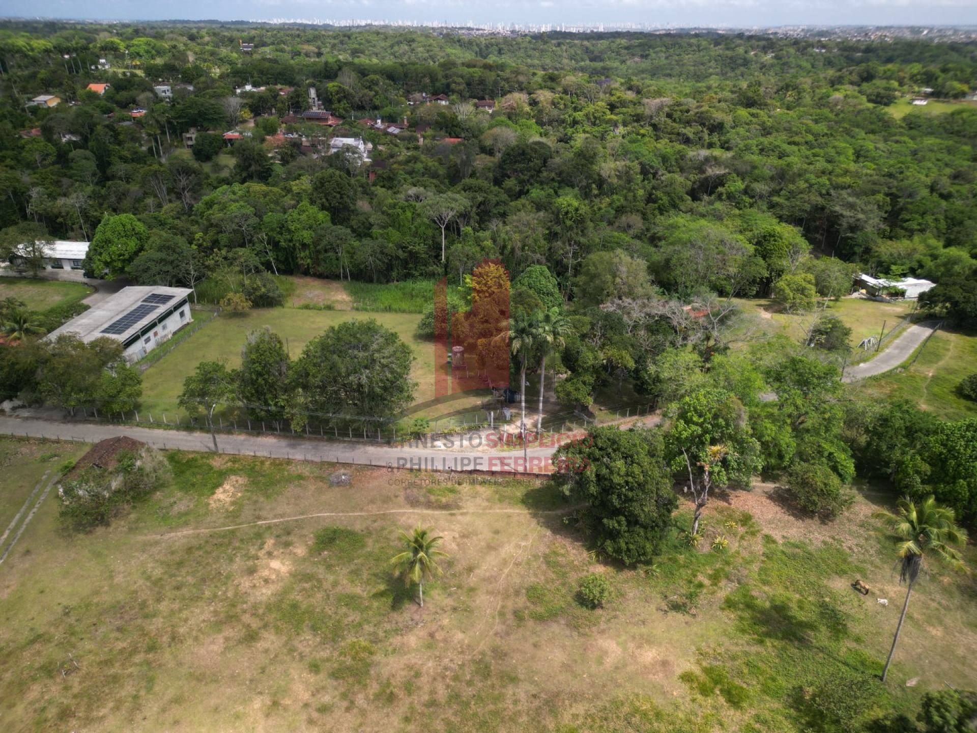 Área com 25 Hectares a 100m da Estrada de Aldeia