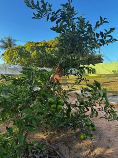 Lote com Edícula em Condomínio Fechado em Aldeia