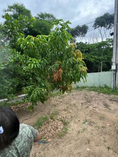 Lote com Edícula em Condomínio Fechado em Aldeia