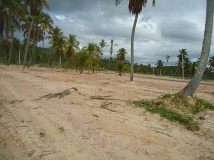 2 Lotes de 200m em Loteamento na Praia de São José da Coroa Grande