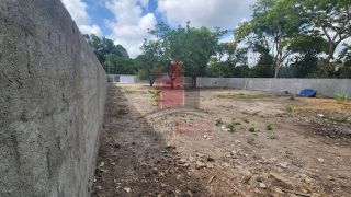 Lote de 1500 a 50 metros da Estrada de Aldeia