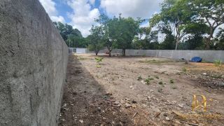 Lote de 1500m² a 50 metros da Estrada de Aldeia