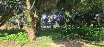 Lote no Condomínio Casa Nova de Ponta c/ área verde