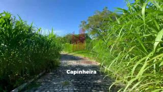Chácara Completa em Aldeia com 2.5 hectares